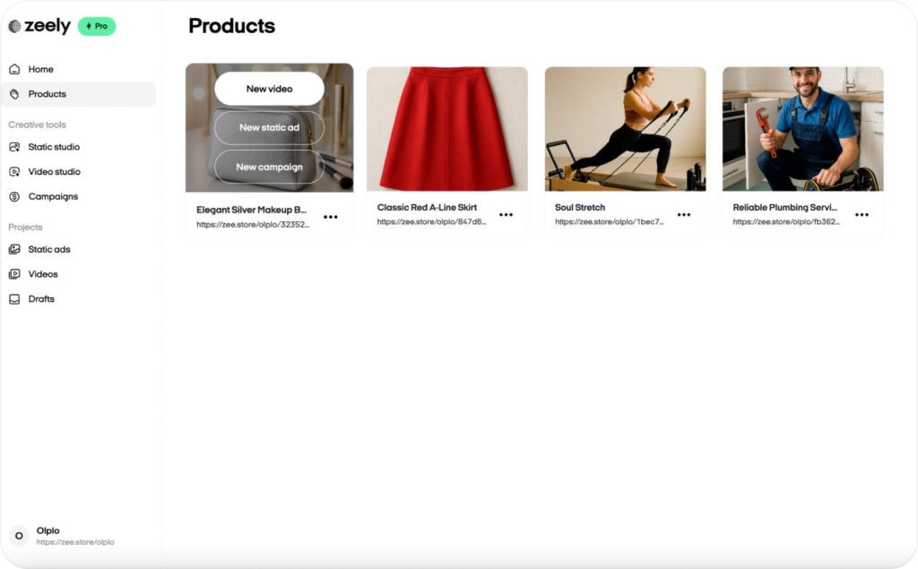 Zeely AI studio choosing product