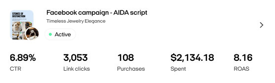 Facebook campaign performance: 6.89% CTR, 3,053 clicks, $2,134 spent, 8.16 ROAS
