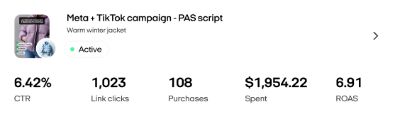 Meta TikTok campaign: 6.42% CTR, 1,023 clicks, $1,954 spent, 6.91 ROAS