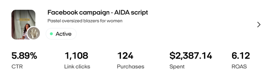 Facebook blazer campaign: 5.89% CTR, 1,108 clicks, $2,387 spent, 6.12 ROAS